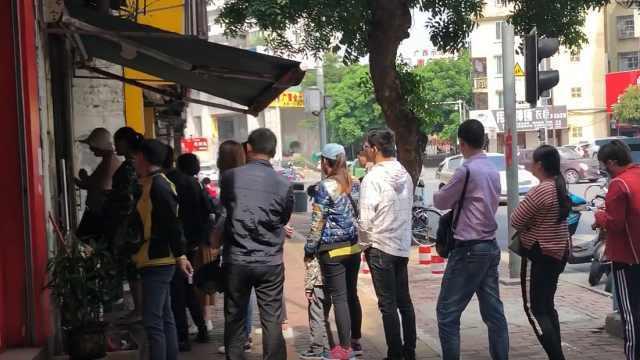 广西人吃瓜群众事件视频,网络舆论的风暴与反思