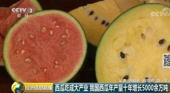 全球吃瓜视频,揭秘网络时代的“瓜田”盛景