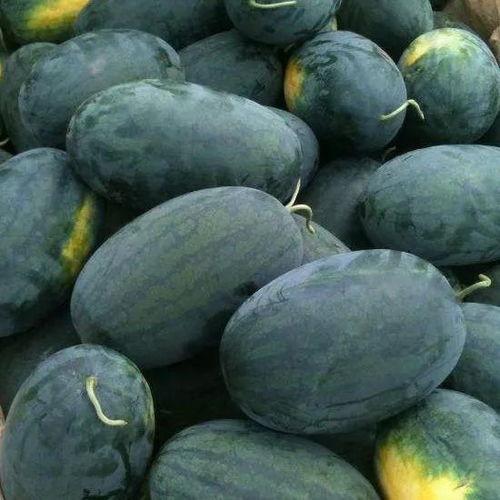 陕西省韩城市吃瓜视频,一场吃瓜视频引发的美食狂欢