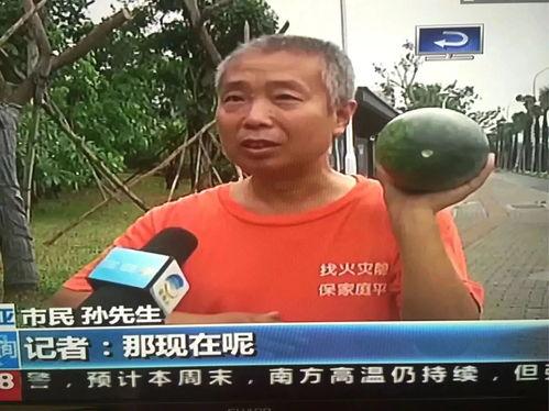 临沂苏东吃瓜事件视频,一场引发热议的网络视频风波