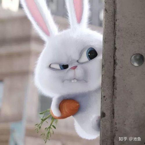 美国兔子大哥吃瓜视频播放,揭秘热门话题背后的真相