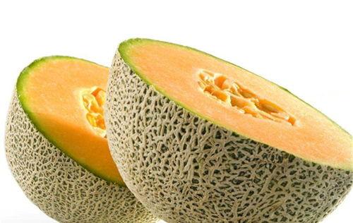 怀男孩吃哈密瓜好吗视频