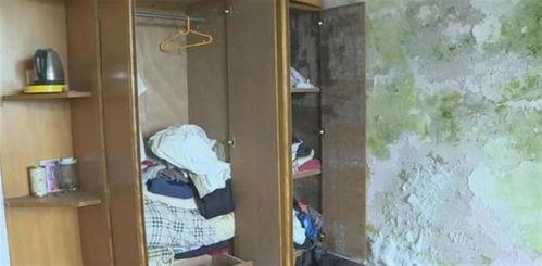 鬼屋吃瓜现场视频大全在线观看,鬼屋吃瓜视频大全，带你揭秘恐怖背后的真相