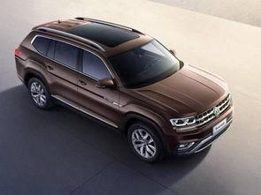 陆巡吃瓜群众视频播放,揭秘热门视频背后的故事