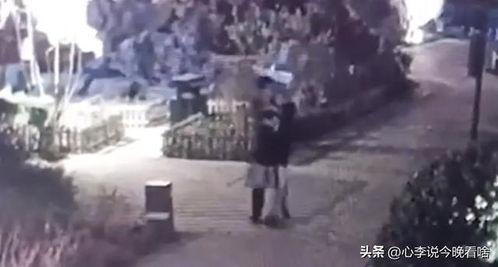 曹县去年吃瓜事件视频,一场网络狂欢背后的真相与反思