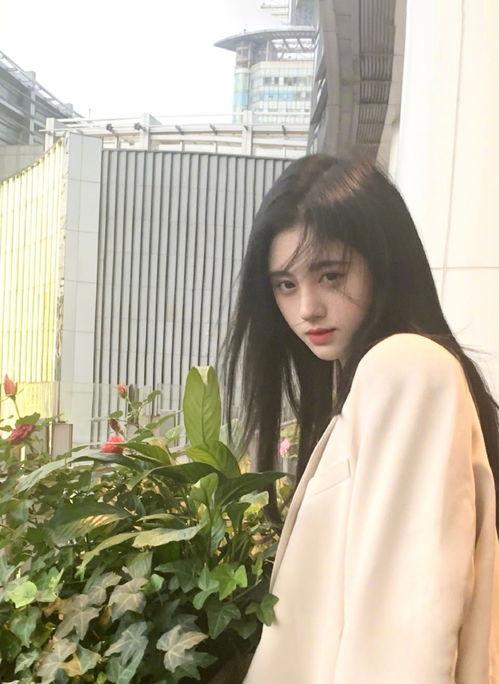 吃瓜少女张小赛鞠婧祎视频下载,揭秘明星幕后趣事