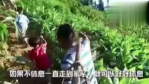 人间少有吃瓜的视频,罕见吃瓜瞬间，网友直呼“绝了”！