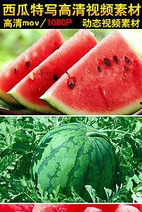 吃两瓜的视频素材下载,视频素材中的美味探索