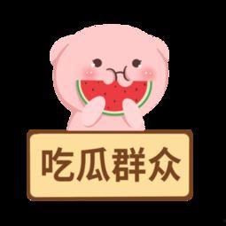 吃瓜群众 视频素材网站,海量内容，轻松获取热门素材