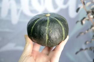 抖音比较火的吃瓜视频,揭秘吃瓜视频背后的趣味与真相