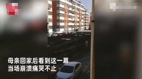 海亮6楼吃瓜视频播放