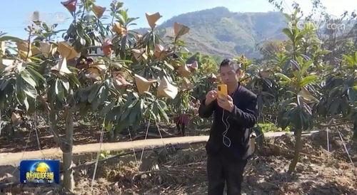 攀枝花吃瓜新闻事件视频