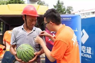 射阳吃瓜群众事件真相视频,真相视频曝光背后的故事