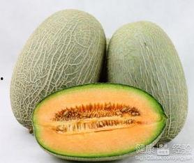 鹅会吃哈密瓜吗视频大全,揭秘鹅会吃哈密瓜的趣味瞬间