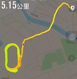 吃瓜群众跑步的视频