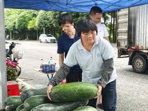 民众吃瓜视频大全下载,一键下载，尽享欢乐时光