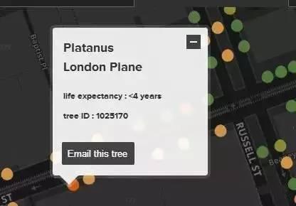 一棵树吃瓜视频,一棵树的奇幻食瓜之旅