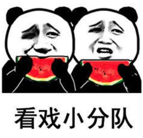 吃瓜熊被打视频大全