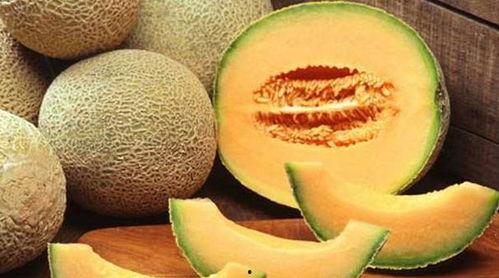 海南吃哈密瓜视频下载,视频下载尽享甜蜜时光