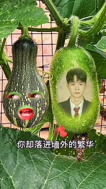 吃瓜小孩子特效视频